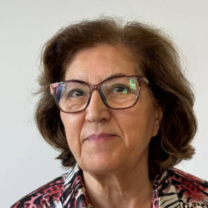 Dulce Silva Sales ConsultantEmail: dulce.silva@gruposecurus.pt